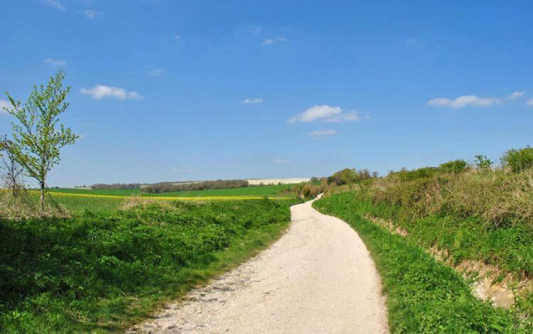 The Run, West Lavant Chichester Exteriör bild